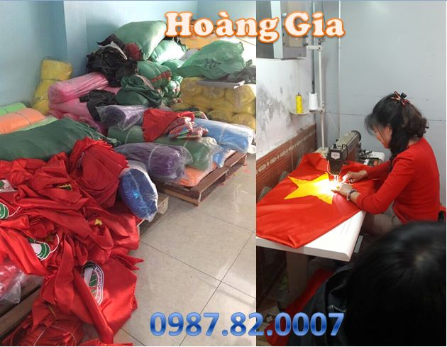 gia-co-to-quoc-3